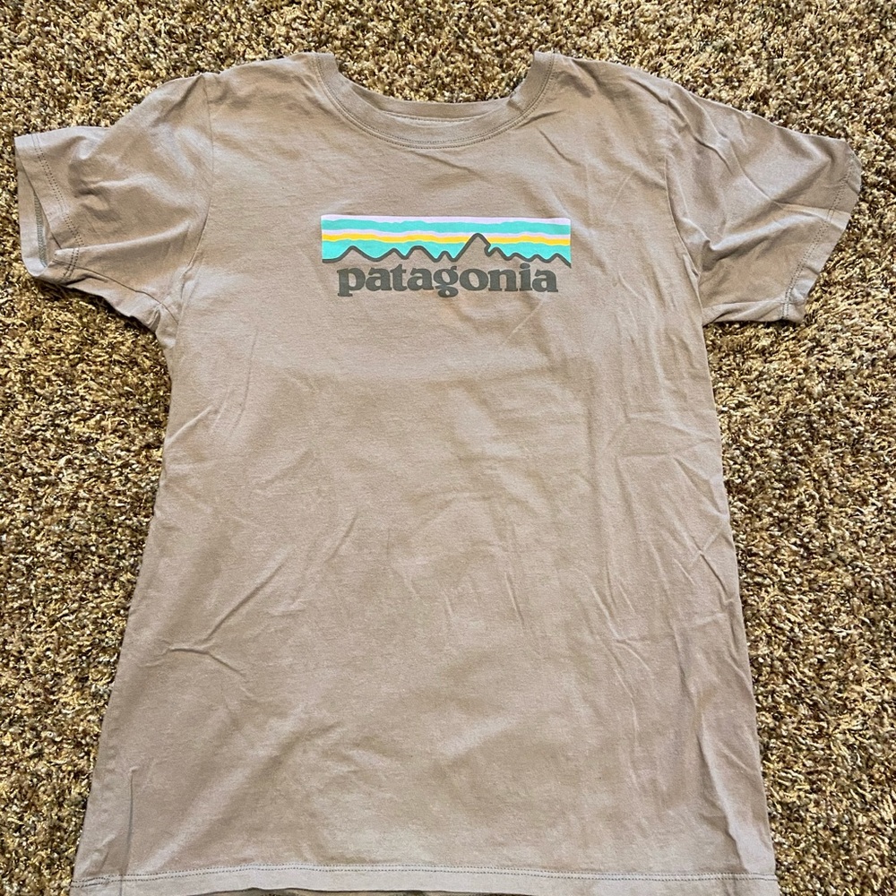 Patagonia Tee